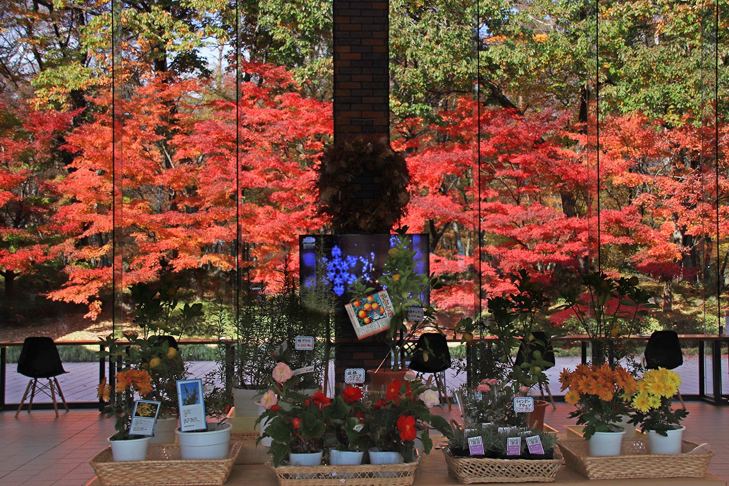 🌸 사계절의 마을(시키노사토) 이미지 6